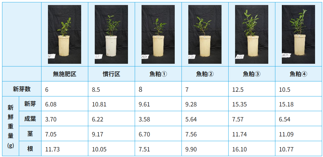 令和6年度 研究成果 伊豆川飼料株式会社